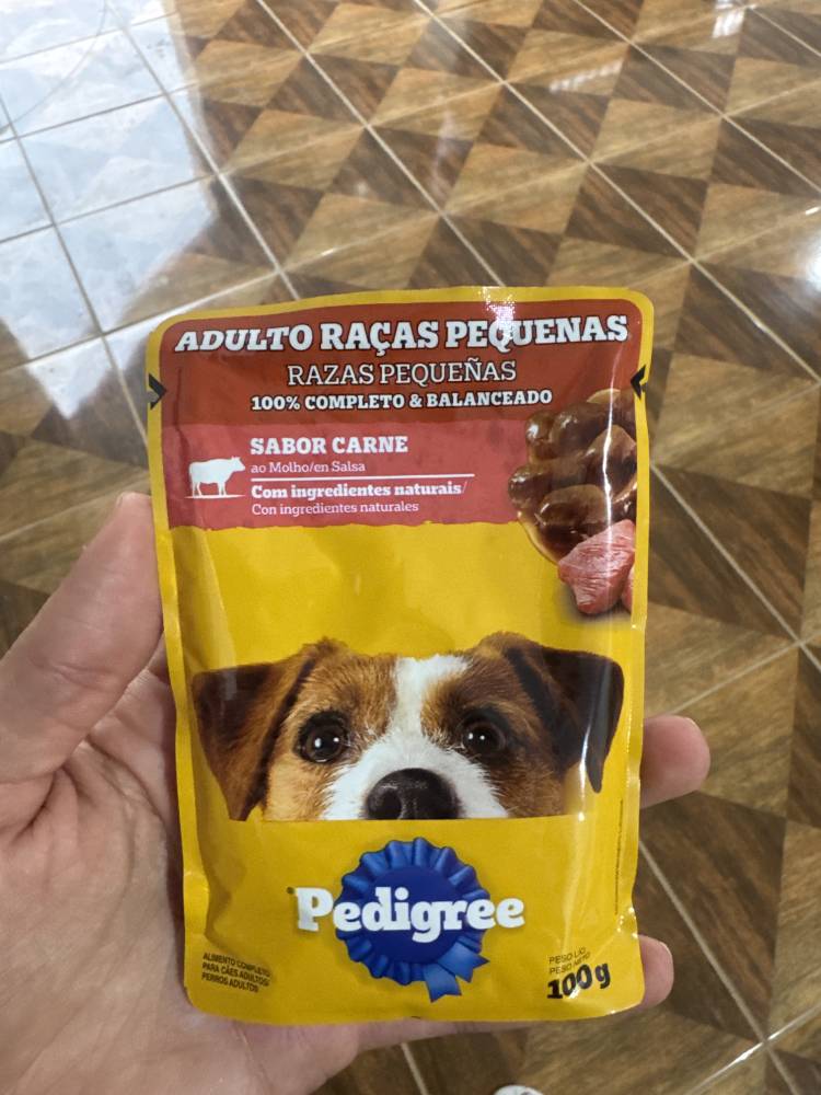 Sachê pedigree carne RPQ 100g