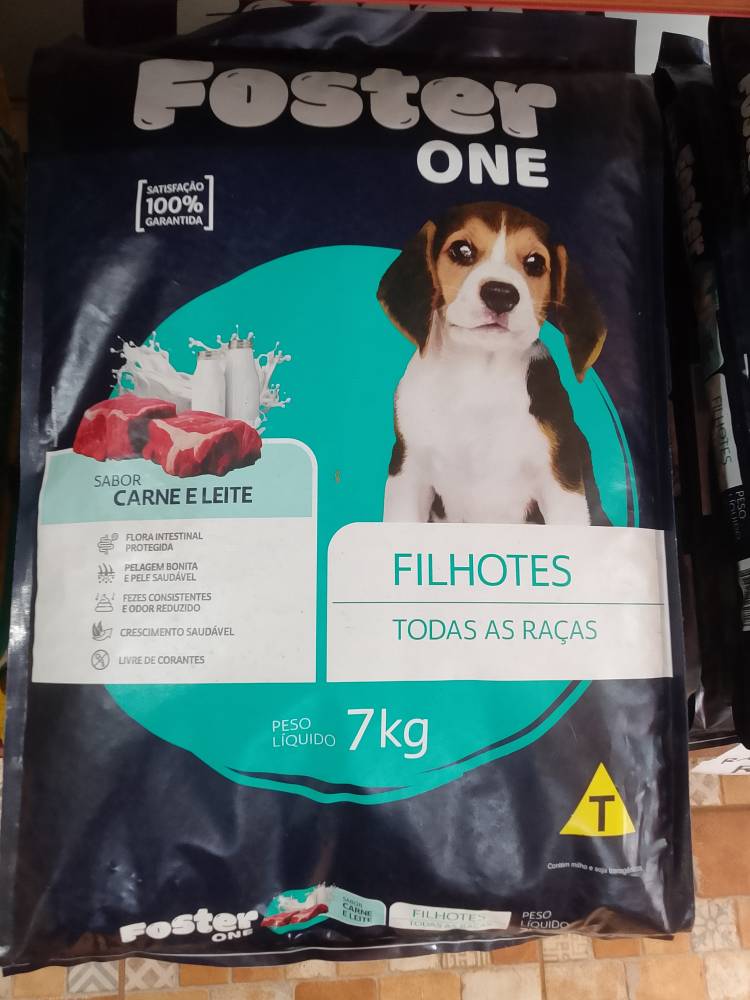 Foster one filhotes