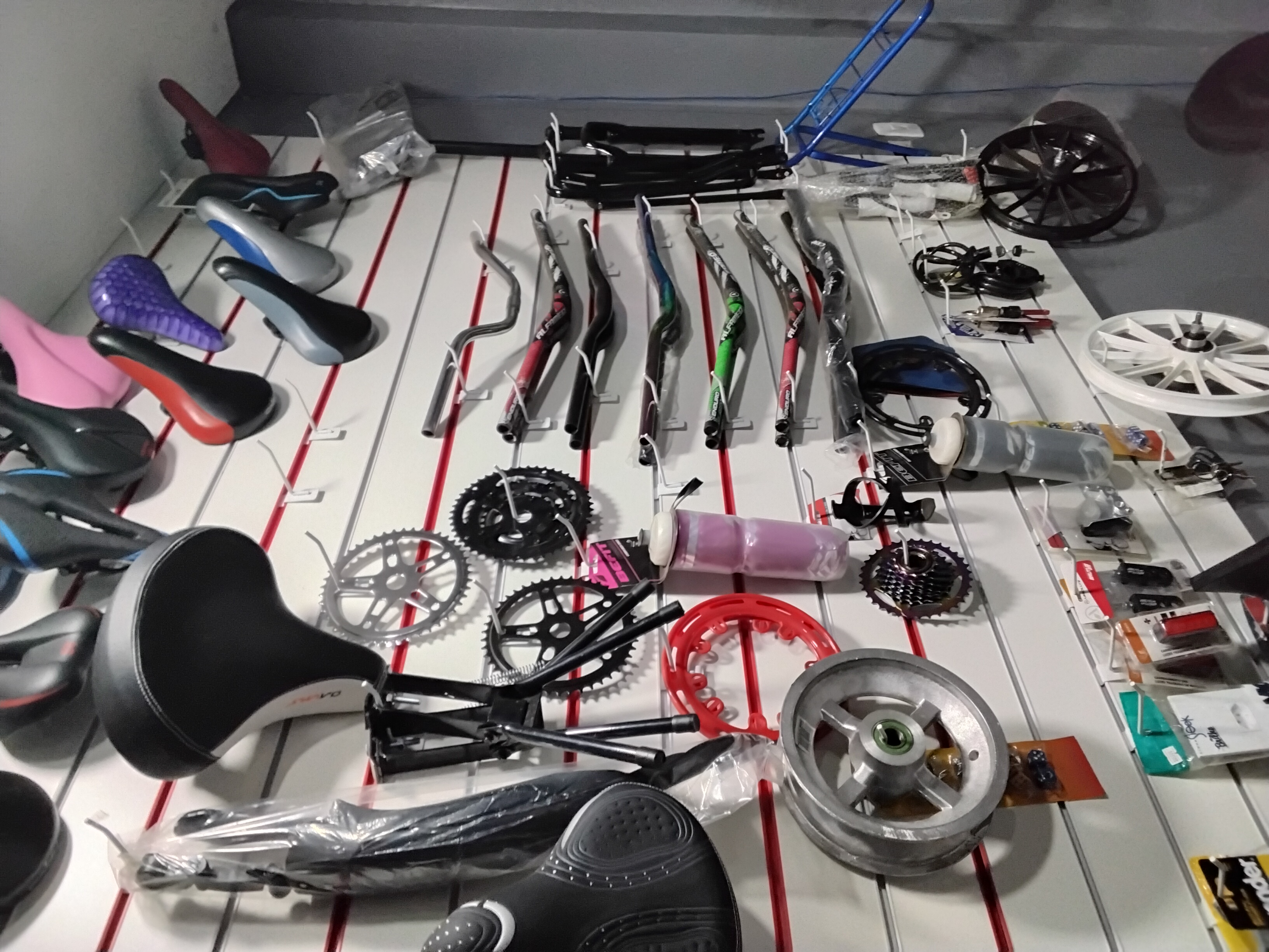 Galeria VM BIKE