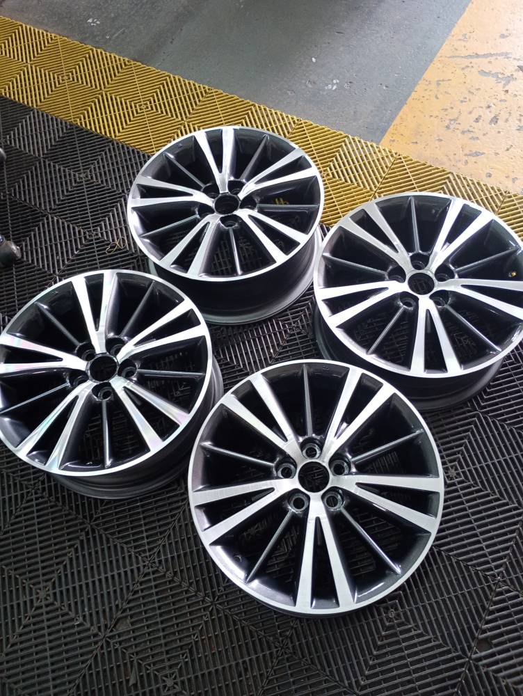 Galeria ELITE RODAS
