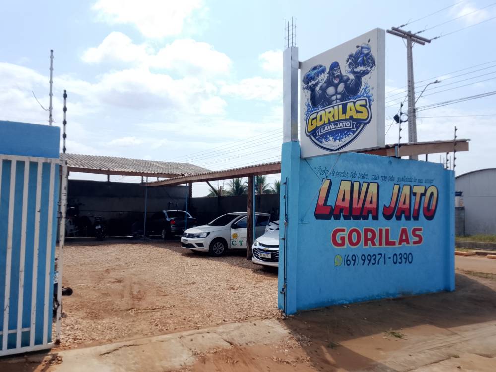 Galeria GORILAS LAVA -JATO