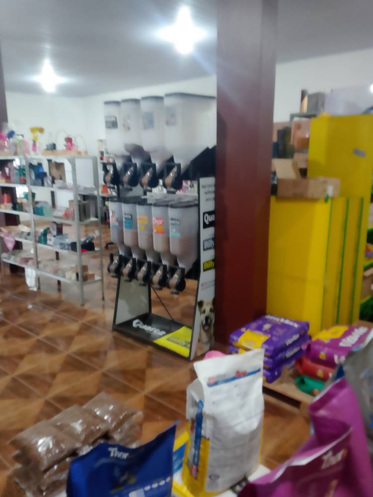 Galeria PET & BELA