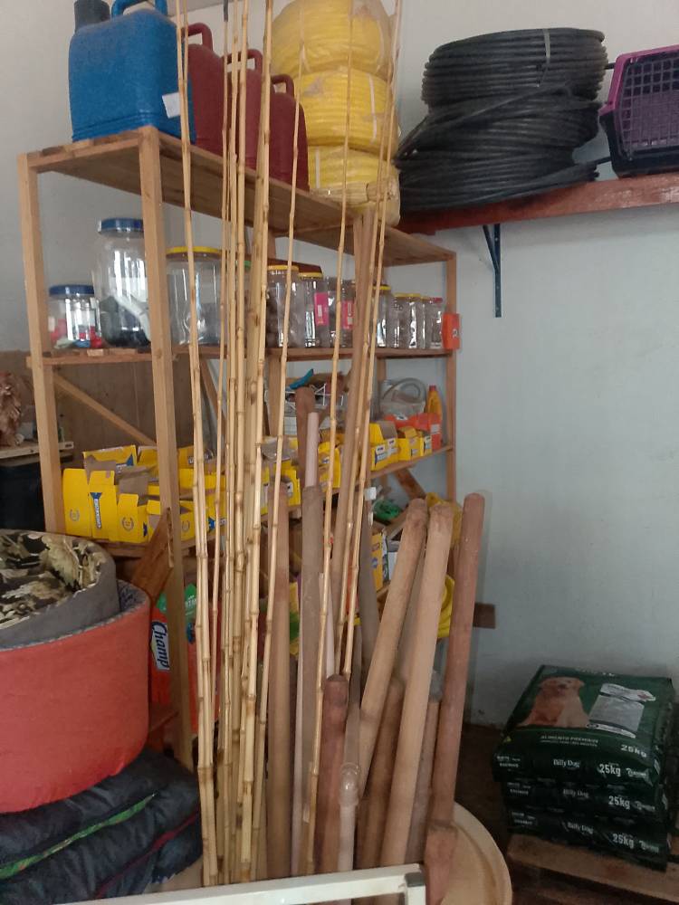 Galeria Casa Pet Raçoes Freitas