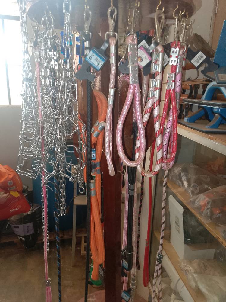 Galeria Casa Pet Raçoes Freitas