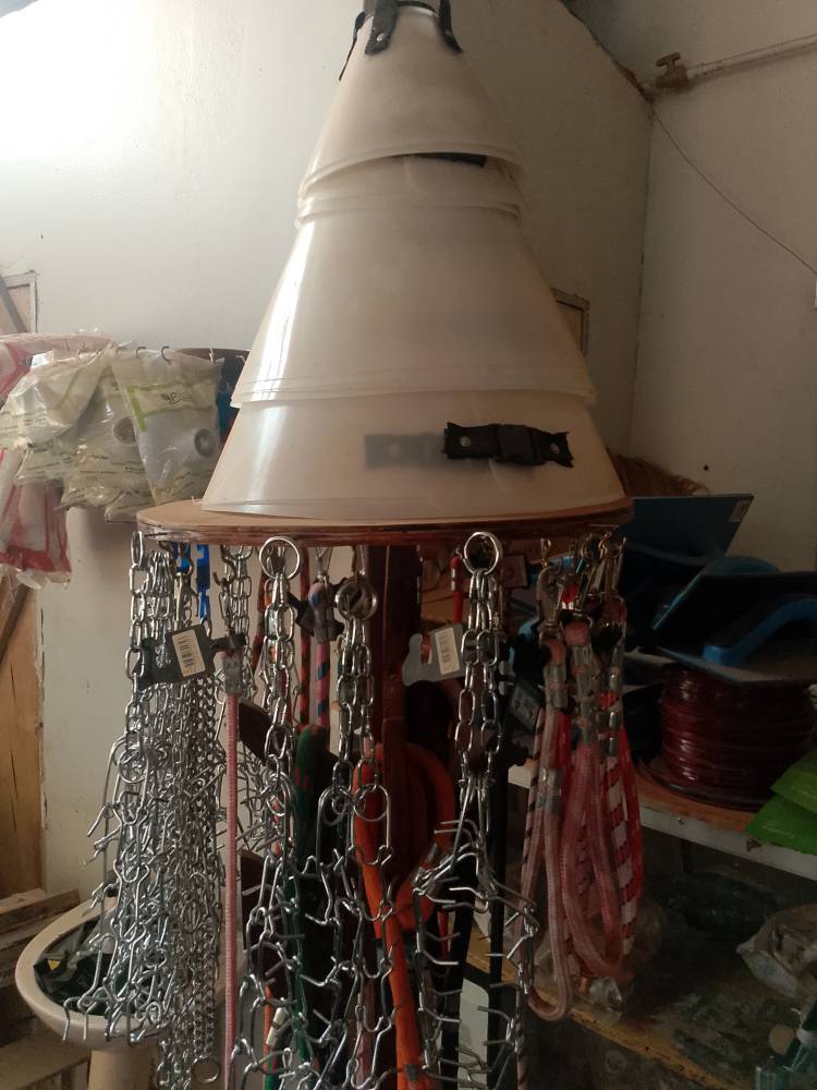 Galeria Casa Pet Raçoes Freitas