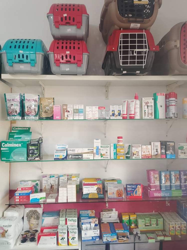 Galeria ANINHA PET