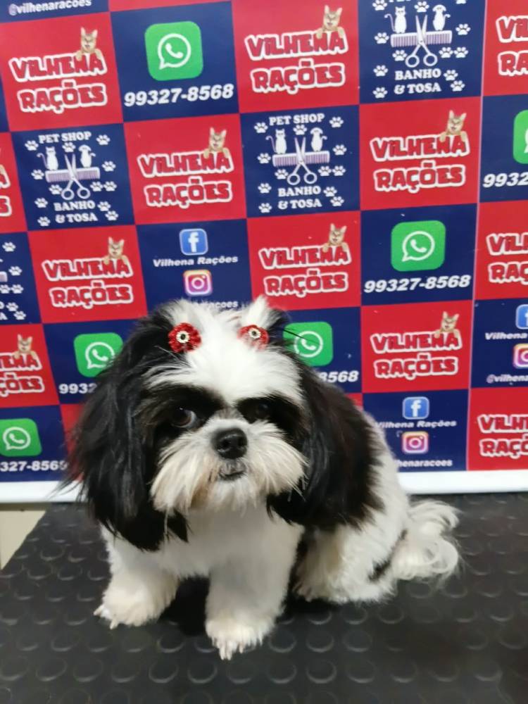 Galeria VILHENA RAÇÕES E PET SHOP