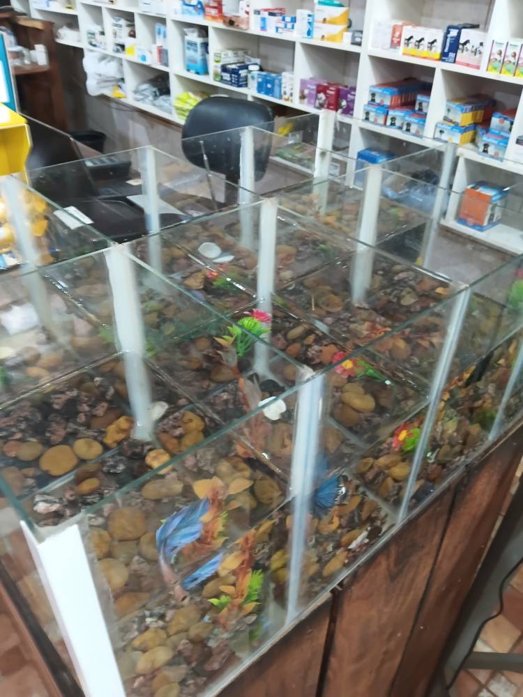 Galeria CENTRAL RAÇÕES