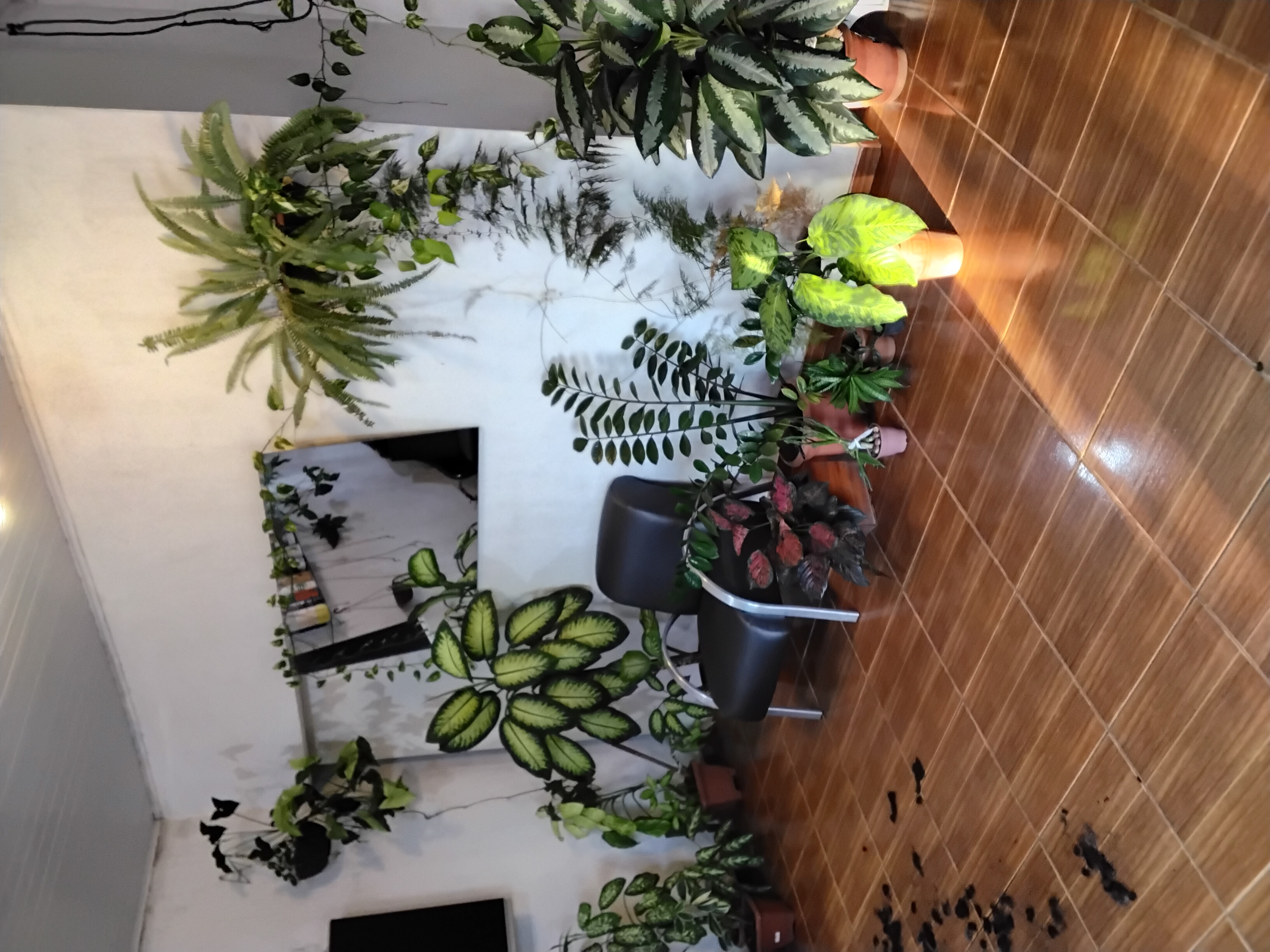 Galeria ELIEZER BARBEARIA -UNISSEX